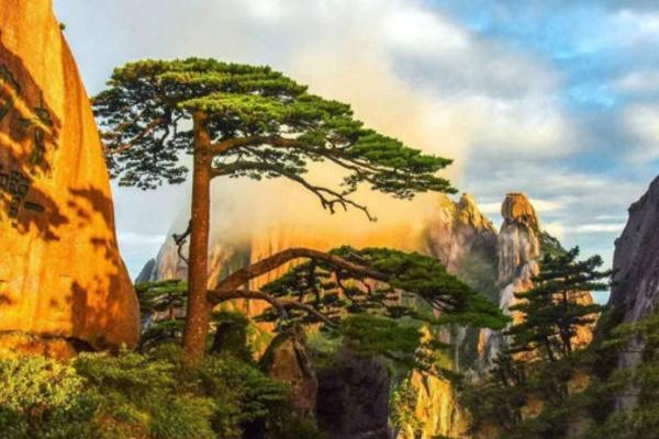 黄山自驾攻略一日游自由行1