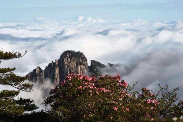 黄山自驾攻略一日游自由行2