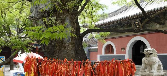 求平安健康最灵的五大寺庙,香火旺盛,祈福的好去处2