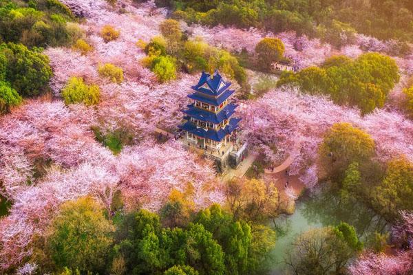 鼋头渚必去景点推荐3