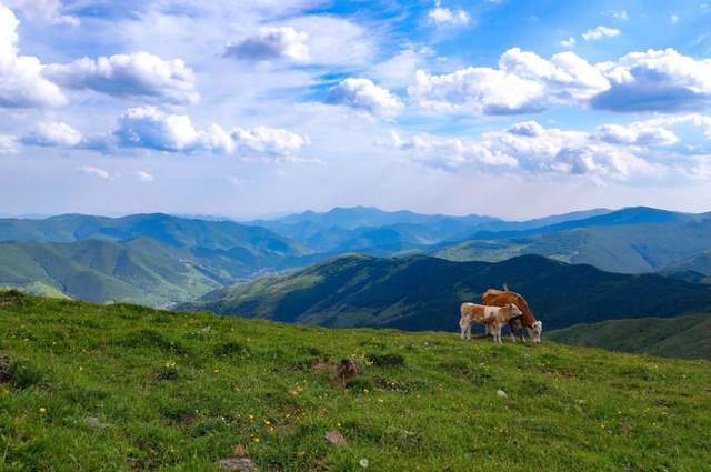 五台山,一生定要去一次的朝圣佛地3