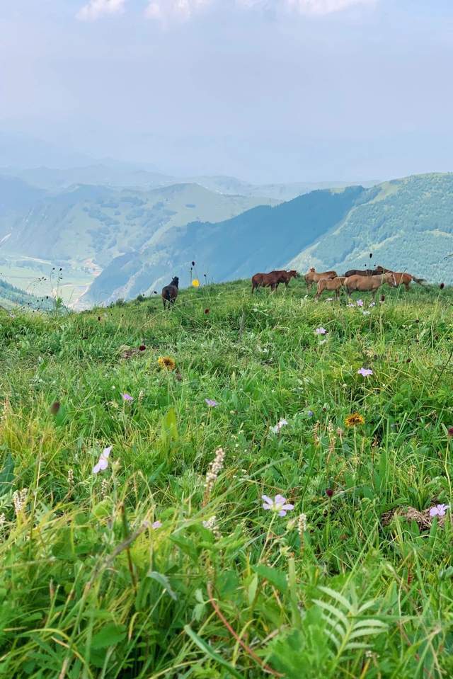 五台山,一生定要去一次的朝圣佛地6