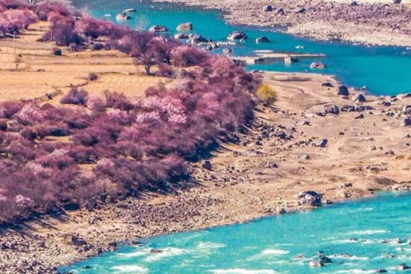 2022林芝桃花节自驾路线攻略1