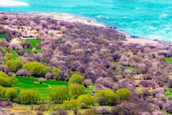 2022林芝桃花节自驾路线攻略2