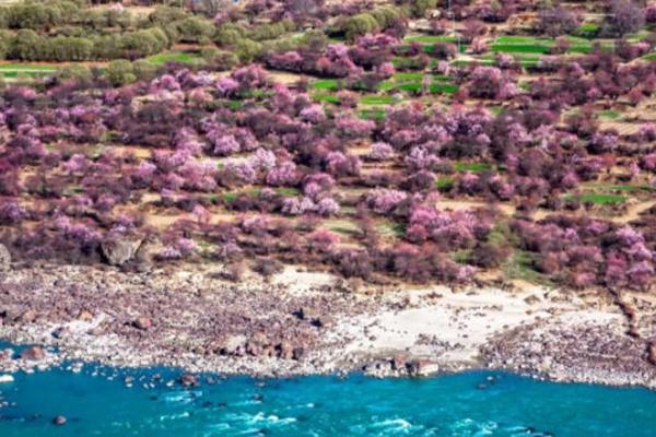 2022林芝桃花节自驾路线攻略3