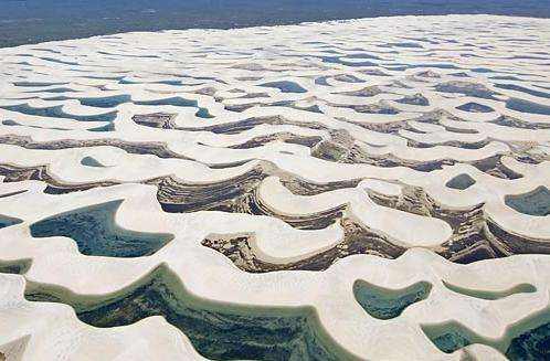 世界“最不正经”沙漠，每年降雨量1600毫升，还有鱼生活在沙中1