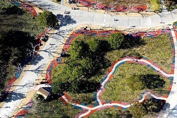 “漫步海棠中,人在花中行”,黄兴公园海棠林2.0版本全新亮相1