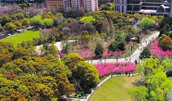 “漫步海棠中,人在花中行”,黄兴公园海棠林2.0版本全新亮相3