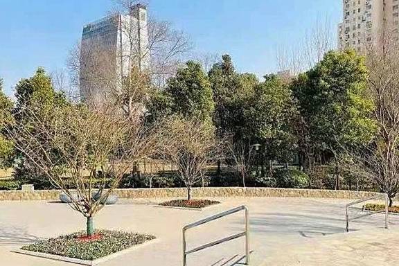 “漫步海棠中,人在花中行”,黄兴公园海棠林2.0版本全新亮相6