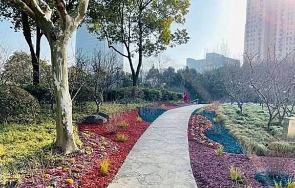 “漫步海棠中,人在花中行”,黄兴公园海棠林2.0版本全新亮相9