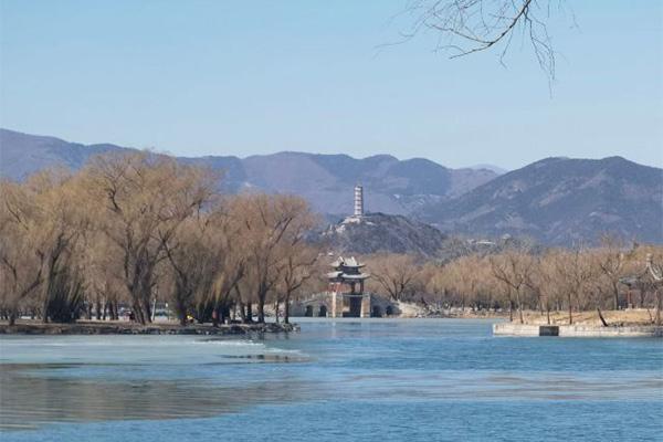 北京哪里可以观鸟1