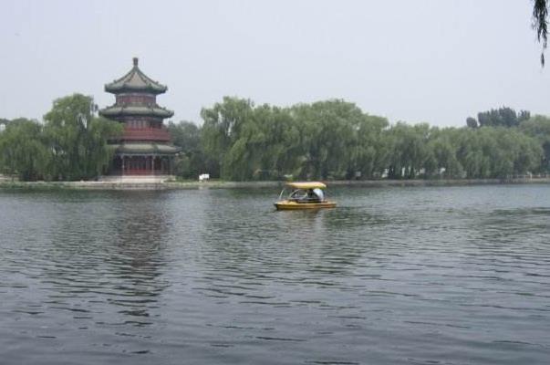 北京哪里可以观鸟2