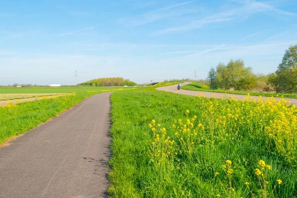 珠海油菜花海在哪里?什么时候开2022?1