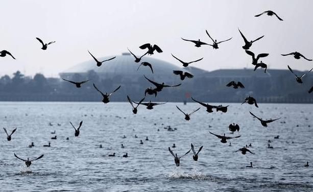 有多少钱才能去旅居养老?夫妻6000元退休金在外旅居12年1