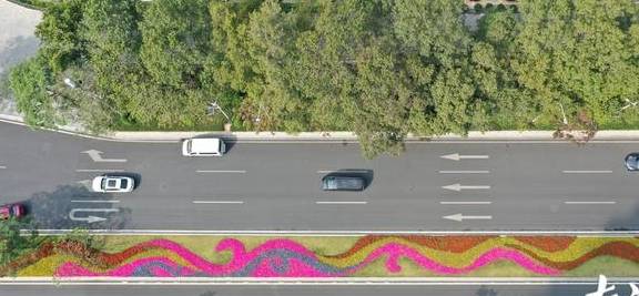 刷屏朋友圈的美景来了，快来走入天河的“春天里”2