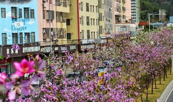 刷屏朋友圈的美景来了，快来走入天河的“春天里”6