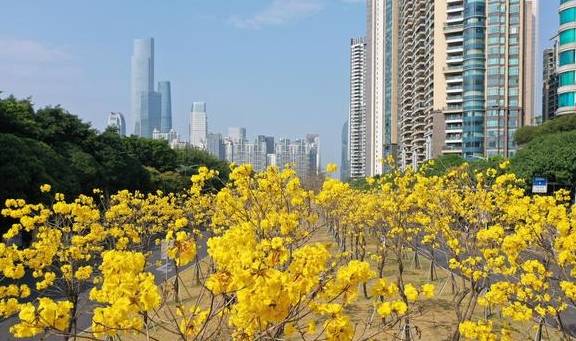 刷屏朋友圈的美景来了，快来走入天河的“春天里”8