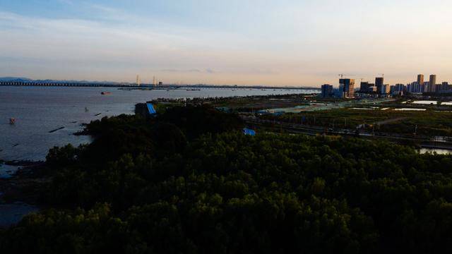 南沙花园酒店,南沙最值得打卡的酒店,你想来看看吗?4