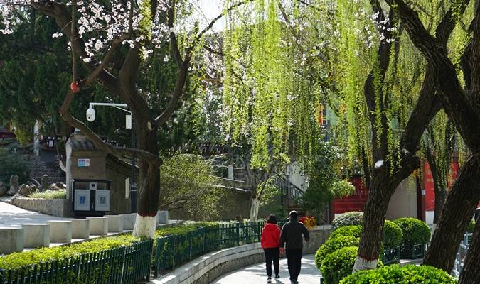 西安周末去哪玩?这里有春景、能遛娃、有美食,地铁可达没门票4