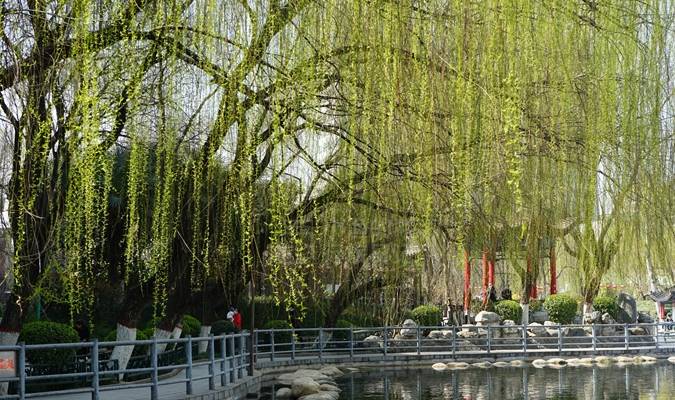 西安周末去哪玩?这里有春景、能遛娃、有美食,地铁可达没门票5