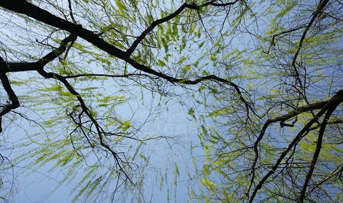 西安周末去哪玩?这里有春景、能遛娃、有美食,地铁可达没门票6