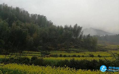 2022婺源油菜花好看吗 婺源自由行游记1