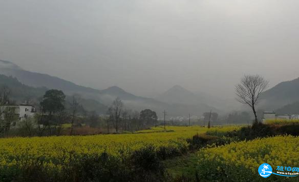 2022婺源油菜花好看吗 婺源自由行游记3