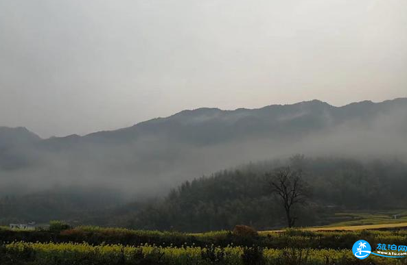 2022婺源油菜花好看吗 婺源自由行游记4