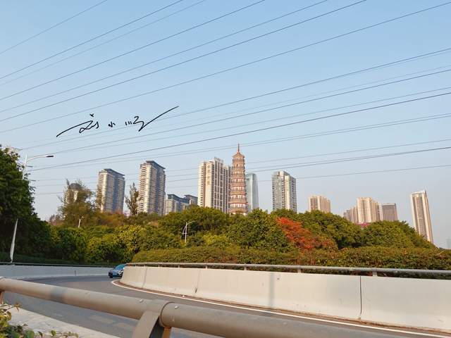 广州市海珠区有一座明代古塔,距离广州塔不远,可惜不对外开放4