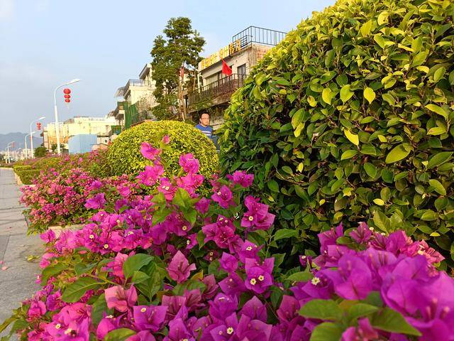 肇庆还有个小鼓浪屿,快来岩前村看看9