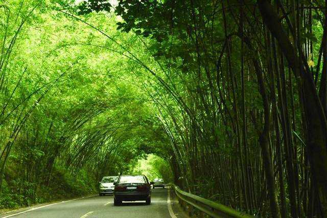 山水典范,秀美安吉 | 一个去了就想住下的地方1