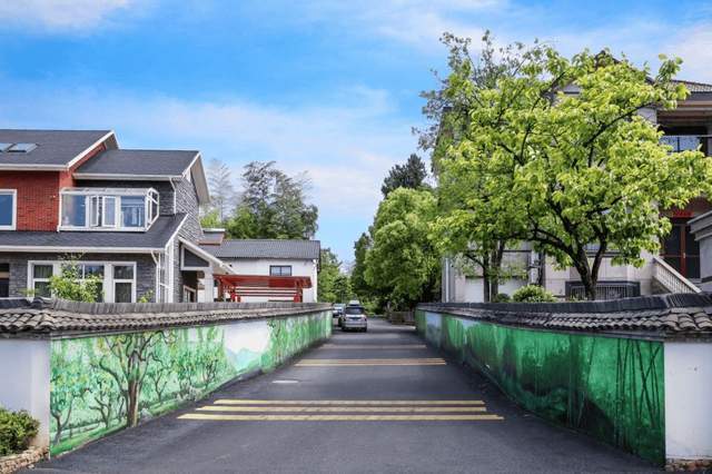 山水典范,秀美安吉 | 一个去了就想住下的地方4