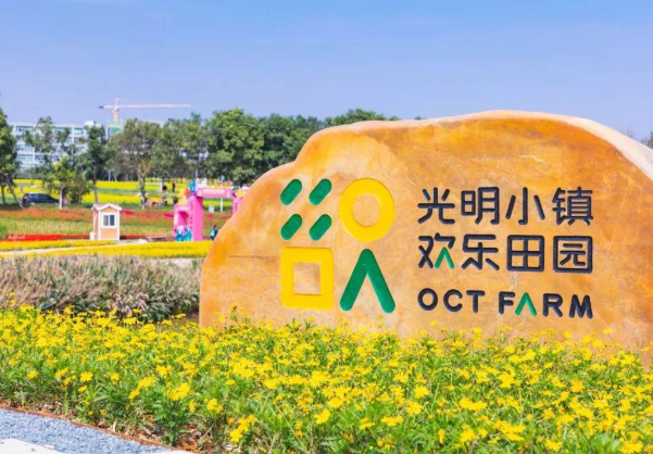 2022深圳欢乐田园油菜花花期及门票价格3