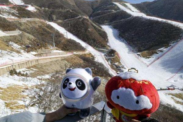 雪容融摇摆摆件哪里买 价格多少钱2