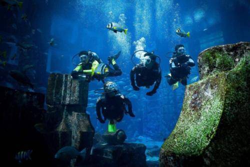 太平洋海底发现大型建筑,疑似消失的大陆!史前文明真的存在吗?5