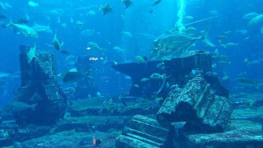 太平洋海底发现大型建筑,疑似消失的大陆!史前文明真的存在吗?8