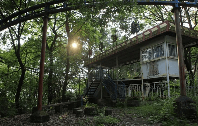 湖北又一小众景区走红，内藏有百余株珍贵花木，票价仅售5元2