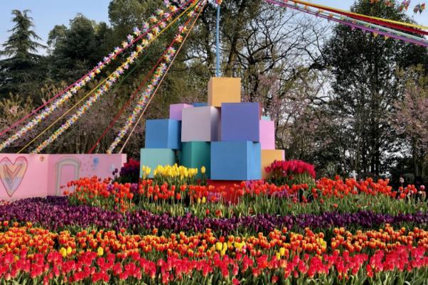 重庆南山植物园春季赏花游玩攻略2