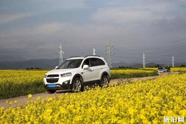 兴化千垛景区油菜花几月份结束?花期持续多久?1