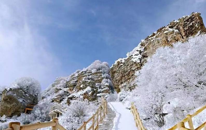 冰挂、雾淞、云海！白石山雪后惊现绝世美景3