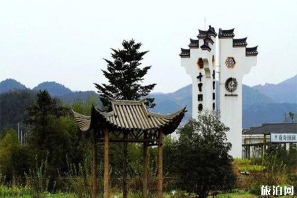 十里四香景区油菜花观赏指南 附开花时间1