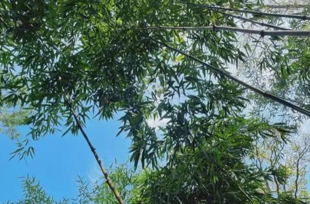 沂水天上王城景区在沂水什么位置3