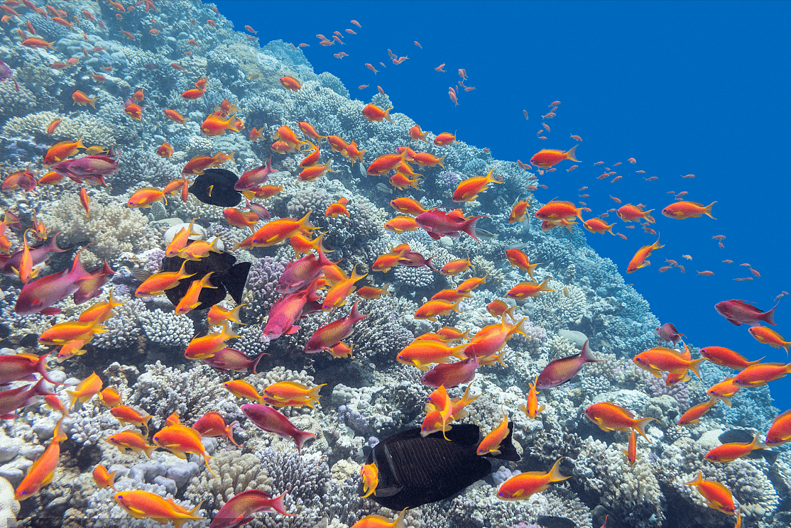 南极冰层下的秘密,上百座火山藏身其中,或将随时爆发?4