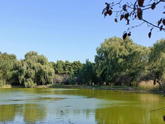 这地方是皇太极的归宿,如今怎么看起来像一个大公园?3