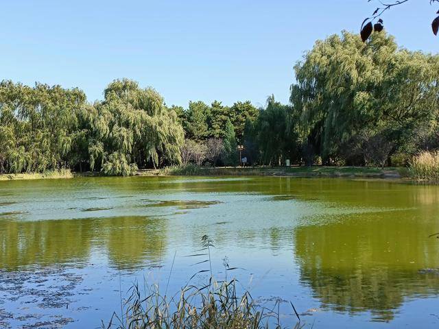 这地方是皇太极的归宿,如今怎么看起来像一个大公园?4