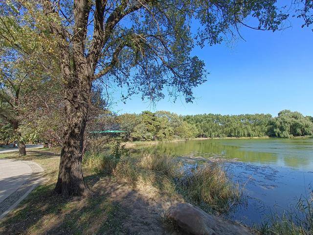 这地方是皇太极的归宿,如今怎么看起来像一个大公园?6