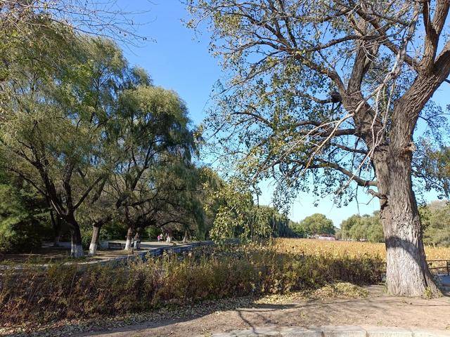 这地方是皇太极的归宿,如今怎么看起来像一个大公园?11