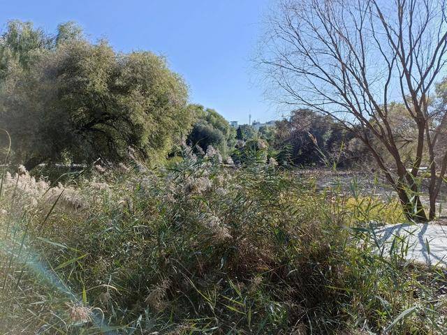 这地方是皇太极的归宿,如今怎么看起来像一个大公园?12