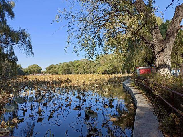 这地方是皇太极的归宿,如今怎么看起来像一个大公园?13