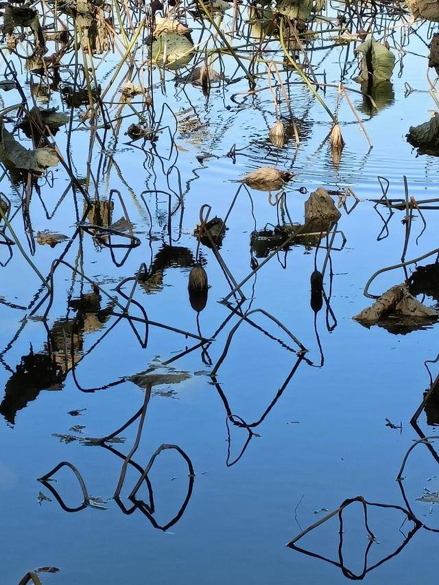 这地方是皇太极的归宿,如今怎么看起来像一个大公园?14